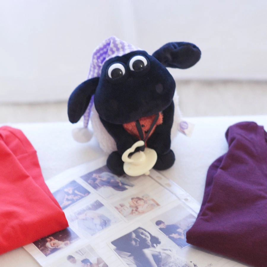 Vorbereitung für die Babybauchbemalung mit Shaun das Schaf – Stofftier, Kleidung und Fotos liegen bereit