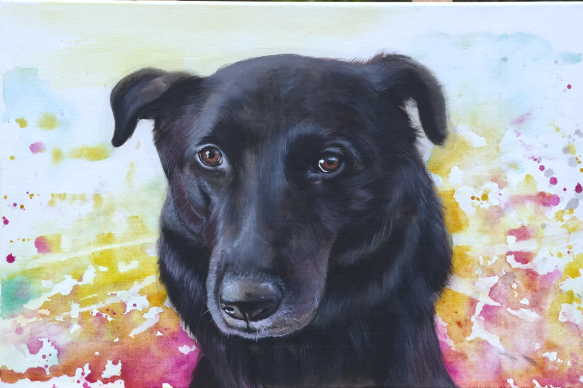 Detailreiches Hundeportrait eines schwarzen Hundes mit bunten Farbspritzern – gemalt von cy-DESIGN